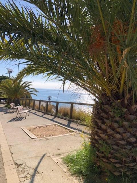 The Hollidays Apartment Calella Extérieur photo