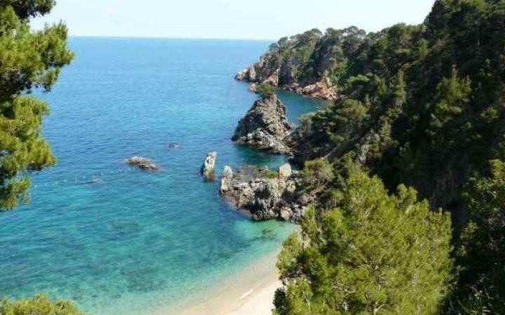 The Hollidays Apartment Calella Extérieur photo